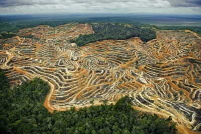 ліси амазонія глобальне потепління