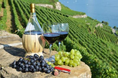 Україна скасування мито поставка вино тоскана євросоюз