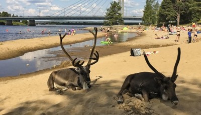 літо спека скандинавія